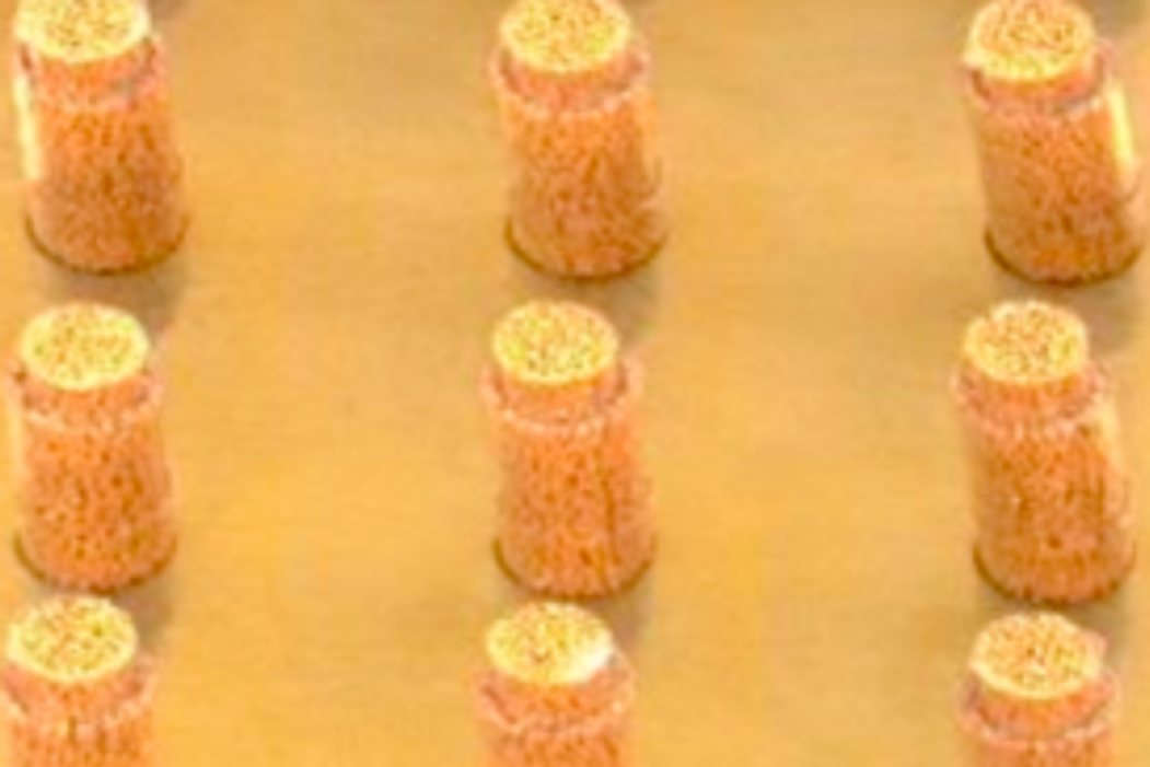 Rubber Pin